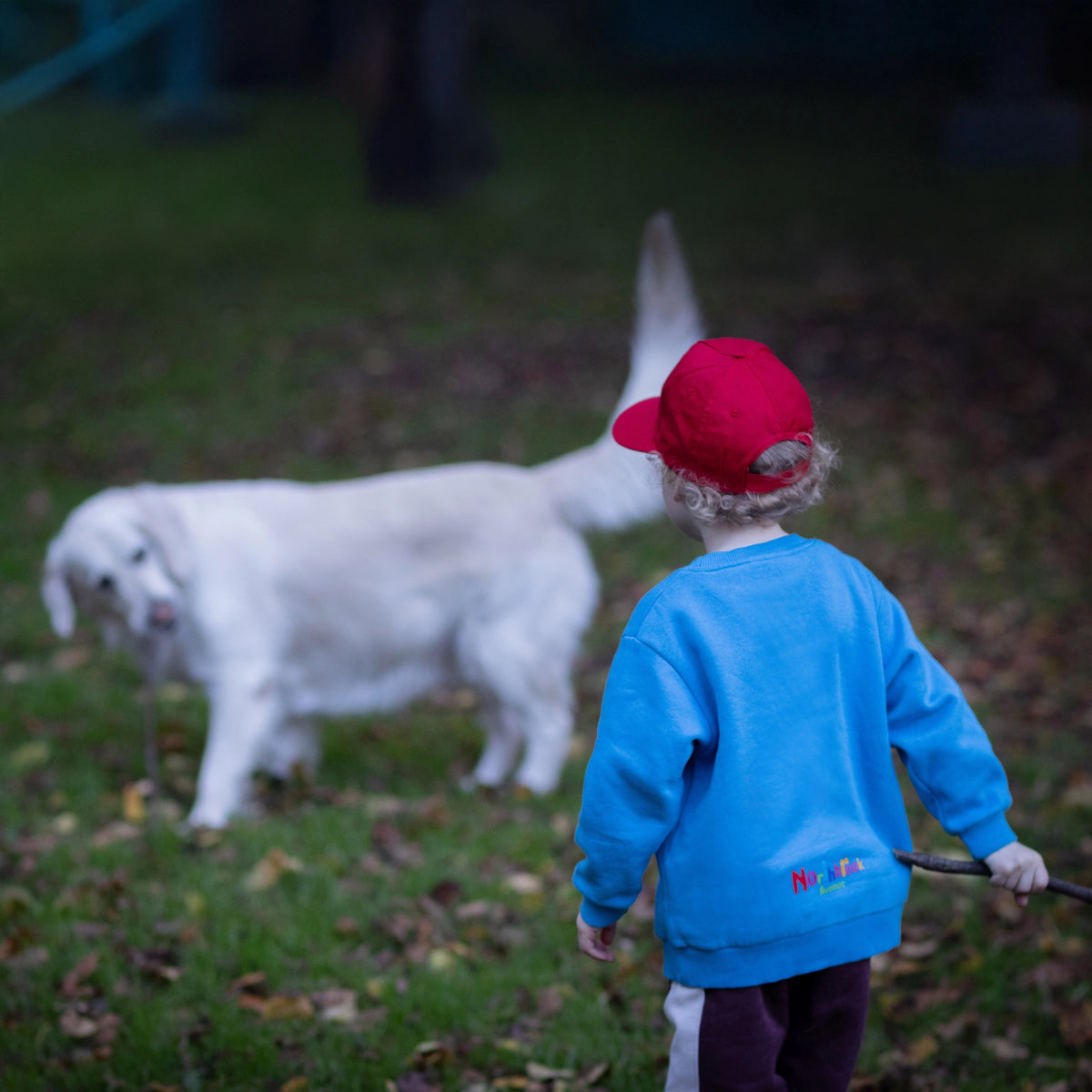 A child wearing a Children's Sweatshirt in Blue Organic Cotton and Red Organic Cotton Baseball Cap plays stick with golden retriever dog