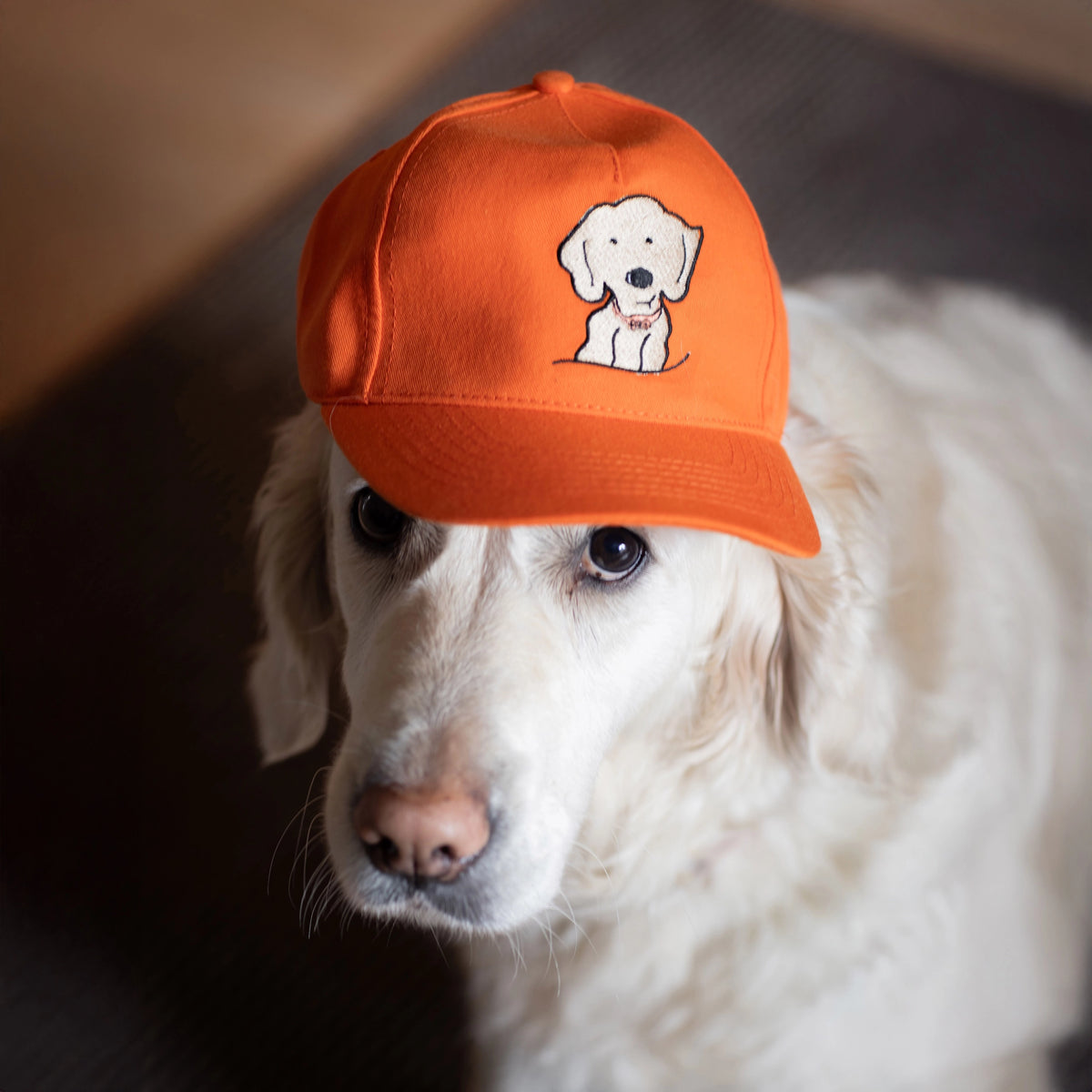 Children's Baseball Cap in Bright Orange Organic Cotton with Golden Retriever Embroidered Patch